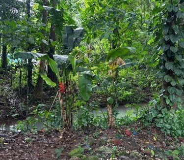 Valle Azul Maison | Finca Mía Isa -Bella