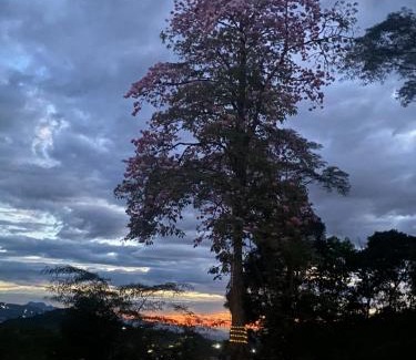La Mesa Maison | Finca mi Fortuna