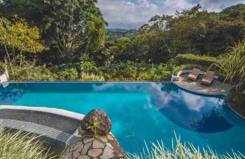 Santa Barbara de Heredia Hôtel | Finca Rosa Blanca Coffee Farm and Inn