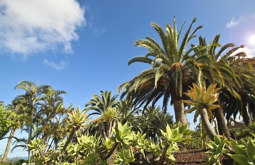 Las Arenas Maison | Finca Tocama
