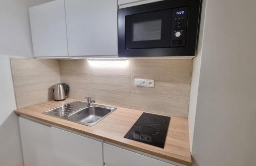 Bubenec Appartement | Finnem Rentals Kyjevská