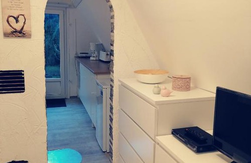 Ilmenau Maison | Finnhütte auf einem großen Grundstück im Thüringer Wald