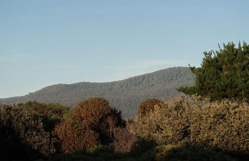 Seymour Maison | First Light Tasmania Cabin