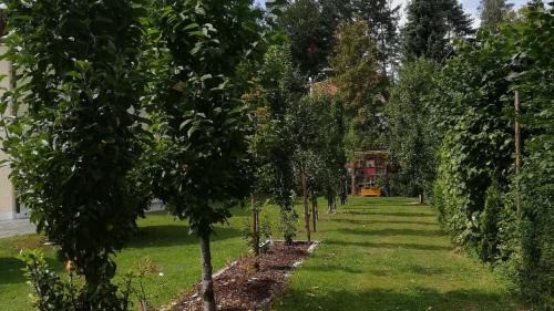 Bad Koetzting Appartement | Fischer Brigitte