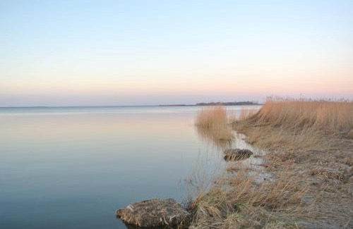 Ribnitz-Damgarten Appartement | FischLANDinSicht