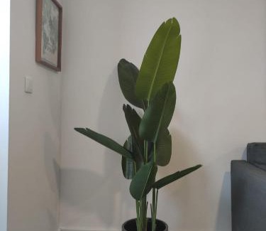 Palhais Appartement | Fisherman's Inn