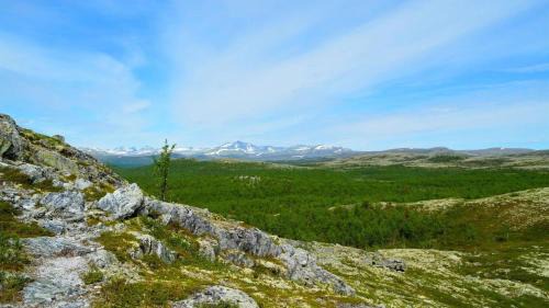 Venabygd Maison | Fiskebu at Flaksjøen