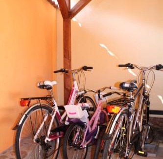 Werder Appartement | Flämingskirsche