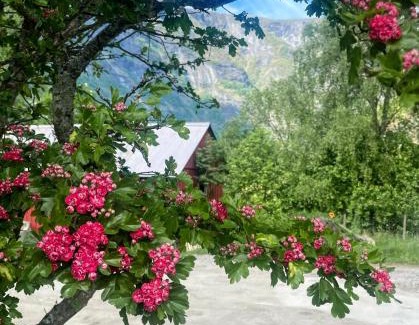 Flam Cabine | Flåm Retreat
