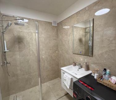 Dunajska Streda Appartement | Flamingo Apartment