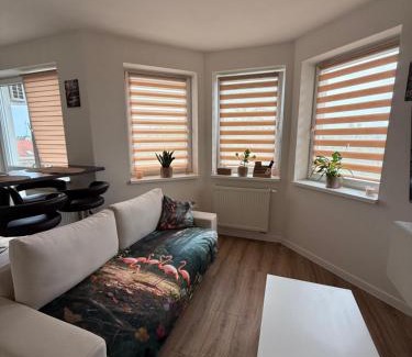 Dunajska Streda Appartement | Flamingo Apartment