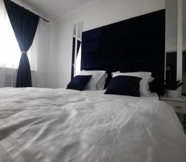 Craiova Appartement | Flamingo Apartment1 Craiova self check-in