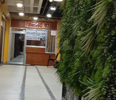 Gorakhpur Maison | Flamingo inn-KV tower 2nd floor, Paidleganj Kalepur,Kasia road, Gorakhpur