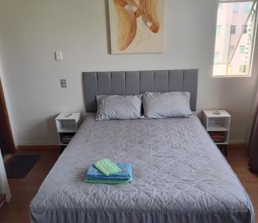 Petropolis Appartement | Flat in the center of Londrina