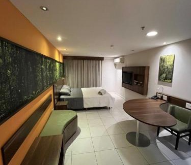Centro Appartement | Flat Mercure Conforto do 9 Andar