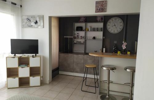 Sens Appartement | Fleur d'orchidée studio 99