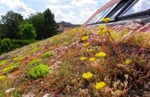 Loos-en-Gohelle Maison | Fleur de Ciel
