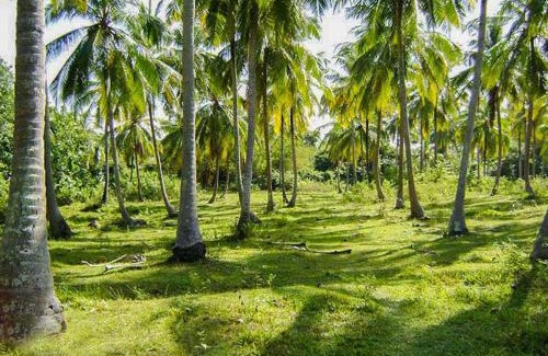 Marawila Maison | flight search villa
