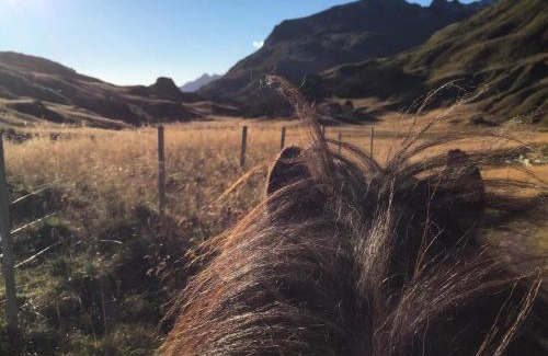 Valberg Autre | FLO Lofoten nature escape