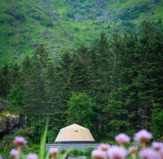 Valberg Autre | FLO Lofoten nature escape