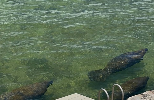 Layton Maison | Florida Keys Waterfront home with beautiful sunset views.