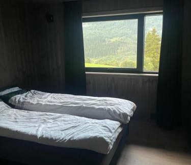 Sogndal Maison | Flott hytte i Sogndal skisenter-Hodlekve