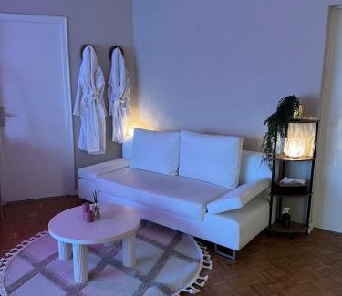 Toulouse South-East Appartement | Flower spa - Jacuzzi intérieur - T2