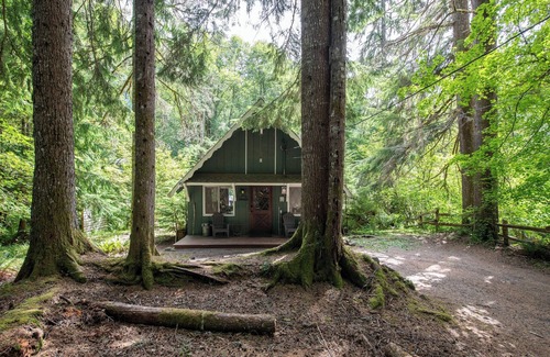 Paradise Estates Cabine | Fog & Fern Hideaway at Mt. Rainier