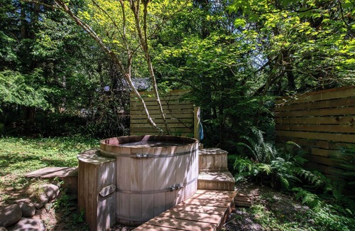 Paradise Estates Cabine | Fog & Fern Hideaway at Mt. Rainier