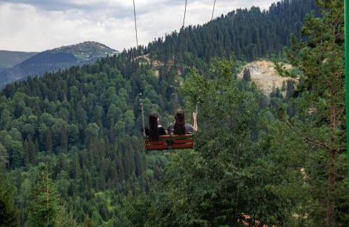 Salpazarı Hôtel | Foleya Mountain Resort Hotel & Villas