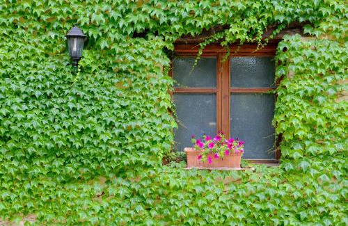 Beceite Hôtel | Font del Pas