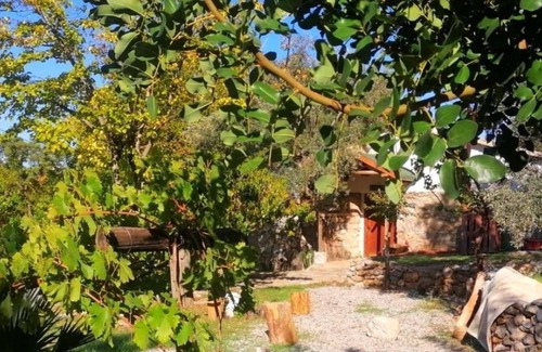 Dalaman Maison | For the Stone House Experience in Nature, Near the Lake