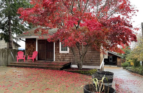 Gig Harbor Cottage | Forest Beach Cottage with deck near Horsehead Bay