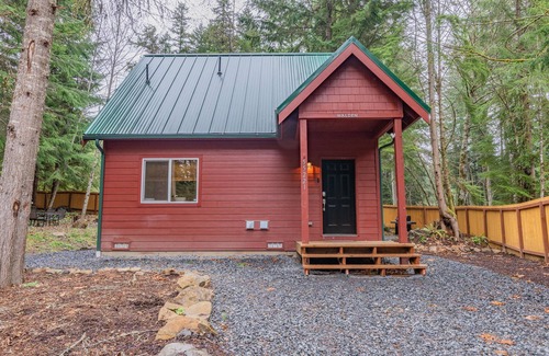 Ashford Cabine | Forest Cabin Near Mt. Rainier Ntl. Park Entrance w/ Hottub-AC-WiFi-Fenced Yard