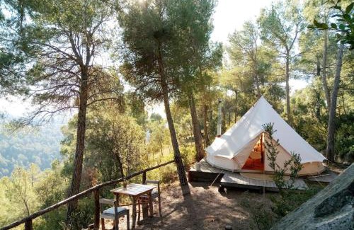 Naves Autre | Forest Days