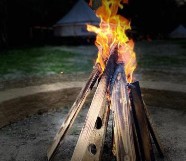 Vulcan Autre | Forest Glamping