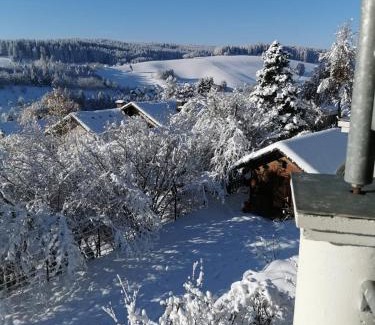 Unterkirnach Appartement | Forest Haven