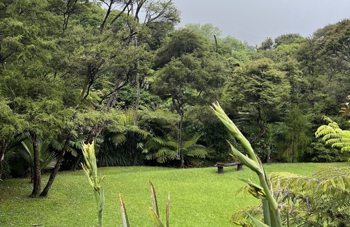 Coromandel Maison | Forest Hideawayn