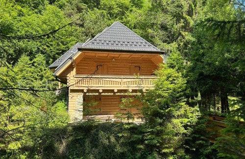 Makow Podhalanski Chalet De Ski | Forest House- dom nad górskim potokiem