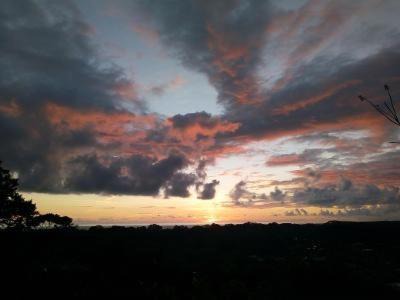 Uvita Cabine | Forest Lodge
