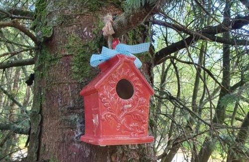 Ballyconnell Autre | Forest Lodge Log Cabin - Ireland