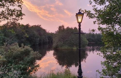 Ballyconnell Autre | Forest Lodge Log Cabin - Ireland
