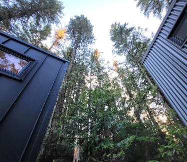 Central Kootenay Maison | Forest Nook