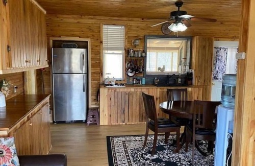 Norfolk Cabine | Forest Side Solar Powered Cabin with Nature Trails