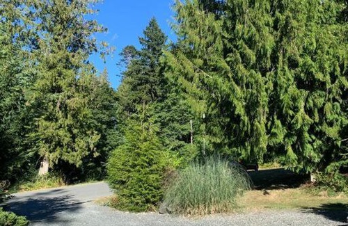 Mill Bay Appartement | Forest trails suite
