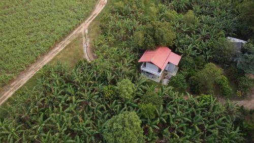 Buttala Maison | Forest Tree Top Holiday Resort