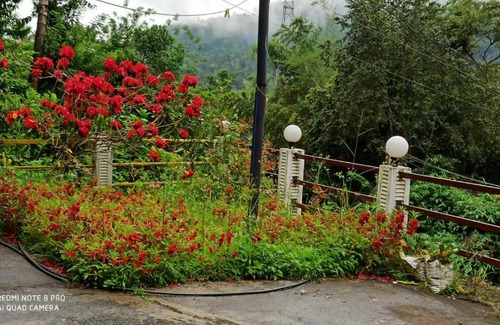 Anaviratty Maison | Forest View Home Stay Munnar