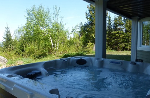 Saint Irenee Chalet De Ski | Foresteria, rivière, montagne et SPA!