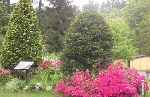 Schladern Maison | Former. Mühle - Holiday property in an idyllic secluded location in the middle of nature.