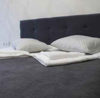 Uzhhorod Hôtel | Forsage Hotel